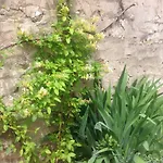 La Petite Maison Semesterbostad *