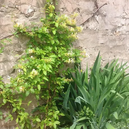 La Petite Maison Hébergement de vacances *