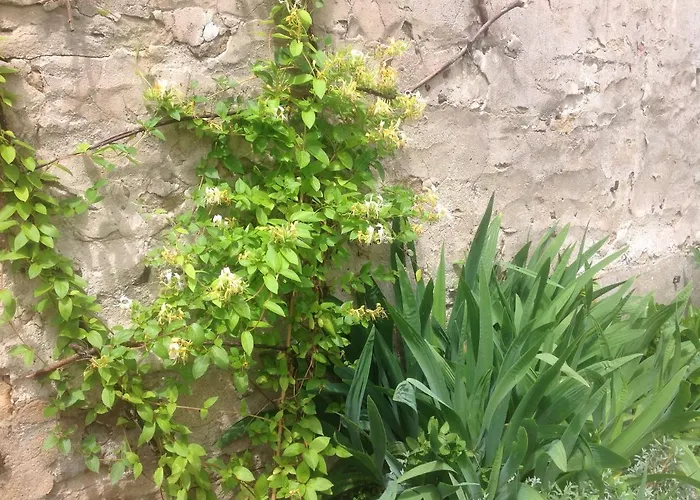 La Petite Maison Holiday home *